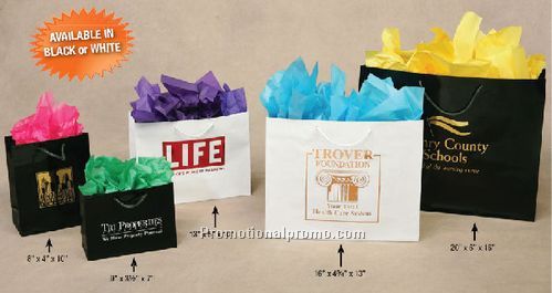 2037920x 637920x 1637920Gloss Laminated with Foil Stamp