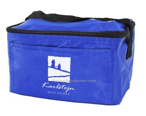 6 Pack Cooler Bag