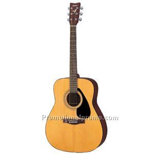 Acoustic Guitar