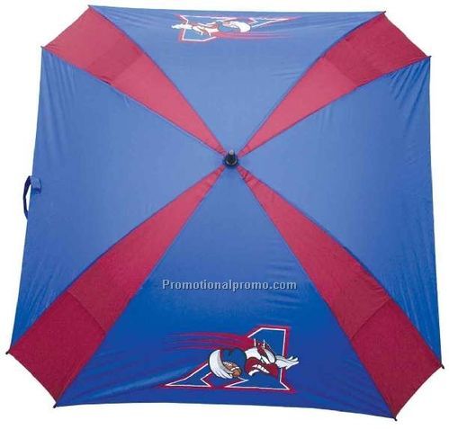 CFL TEAM UMBRELLA