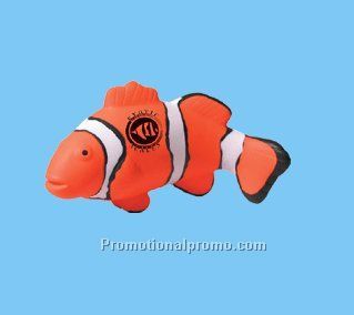 Clown Fish