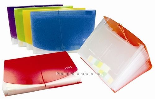 Frosted Expanding Files, 13 Pockets