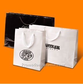 Laminated Paper Rope Handle Bags