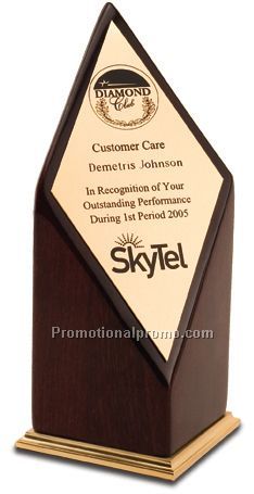Peak Performance Award with Gold Accents