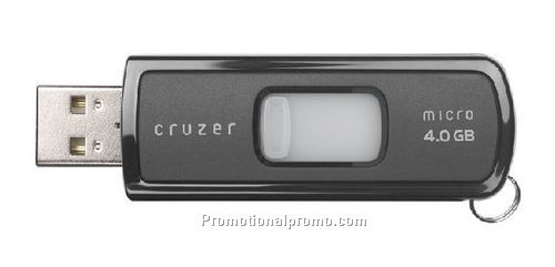 Sandisk 4 GB Portable USB Storage Device,