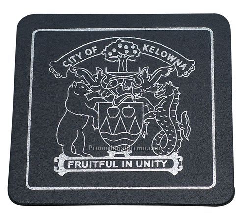 Single Square Leather Coaster