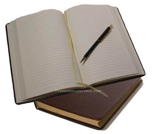 The Journal in Leather