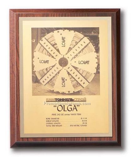 The Metalphoto Plaque - 8