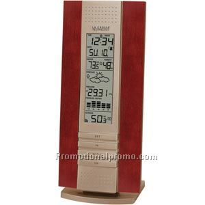 Wireless Forecast Station