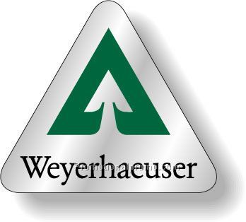 .006 Custom Shape Chrome Polyester Decals, adhesive back