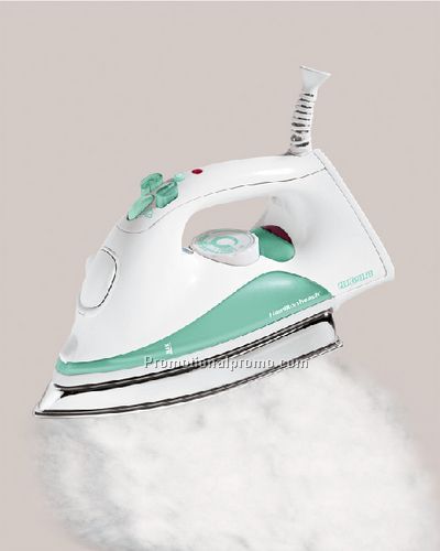 Professional Stainless Steel Iron