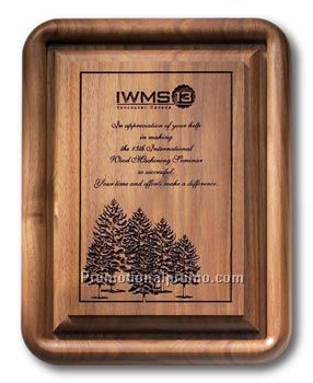 Solid Walnut Plaque - Gallery Bevel - 7