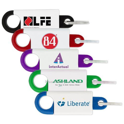 Spring Clip Key Chain