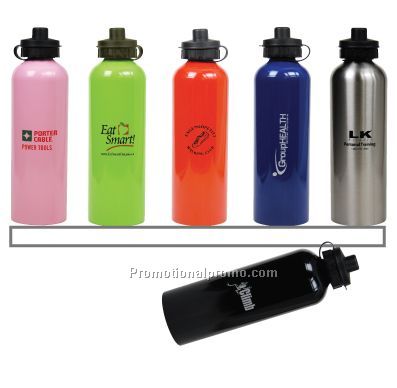 Stainless Steel Bottle