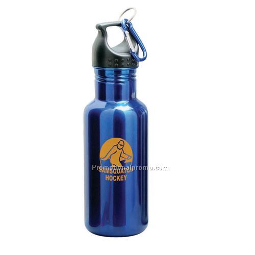 Stainless Steel Bottles