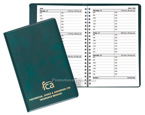 Standard Diary - Castlian Vinyl