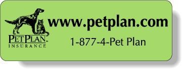 Stock Shape Fluorescent Green Roll Labels - Rectangle with round corners