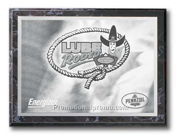 The Metalphoto Plaque - 9