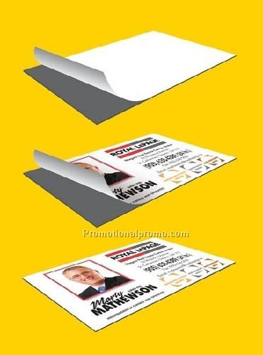 BUSINESS CARD BLANK MAGNETS