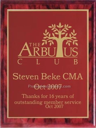 FINISHED WOOD PLAQUE WITH CLASSIC PLATE - 8