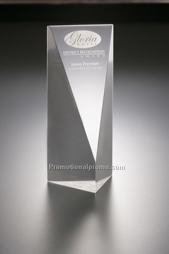 Lucite Embedment Award