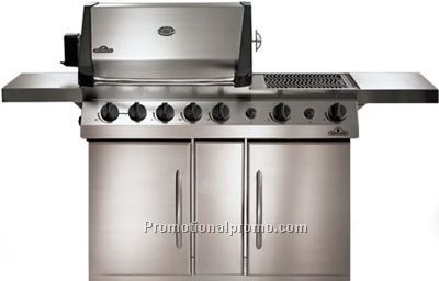 Prestige V Series - Natural Gas - PF450N