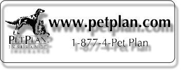 Stock Shape Clear Gloss Polypropylene Roll Labels - Rectangle
