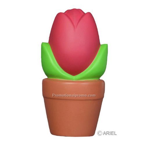 TULIP IN POT