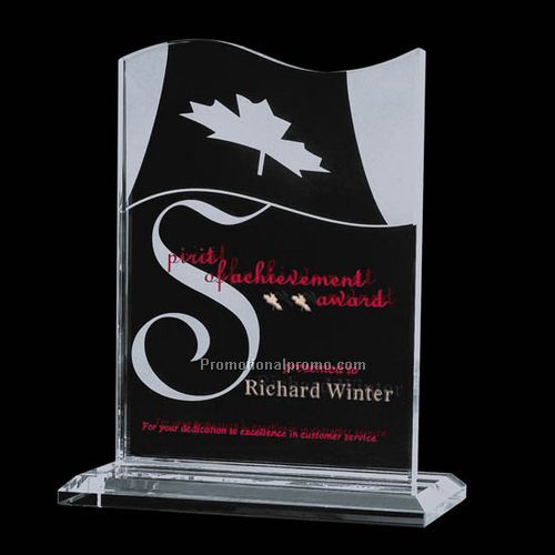 Unity Award/Starfire