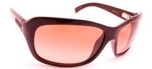 Vittoria - Bronze Spec Frame Drivers Gradient Lens