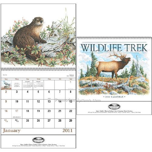 Wildlife Trek - Spiral