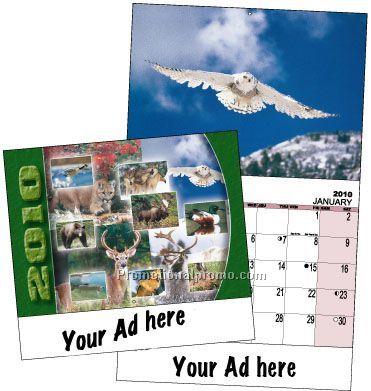 12 PICTURE CALENDARS