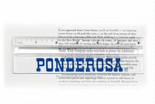 6 " Ruler with Magnifier