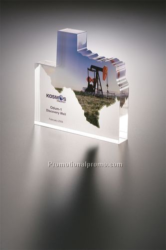 Acrylic Texas Map Shape Embedment Award