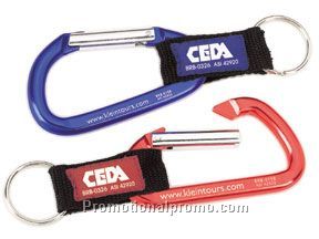 Carabiner with lanyard