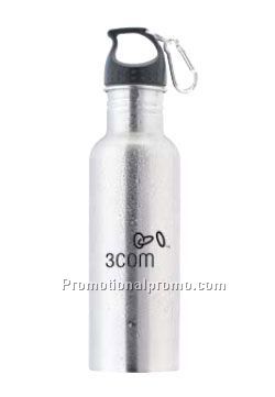 The Wide Mouth Flair - Silver