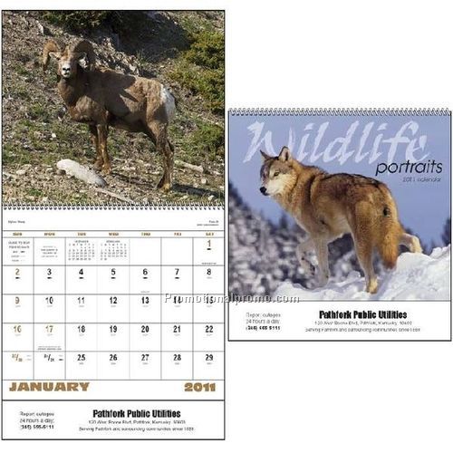 Wildlife Portraits - Spiral