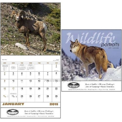 Wildlife Portraits - Stapled