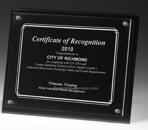 2 Panel Radiant Plaque