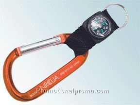 Carabiner and compass