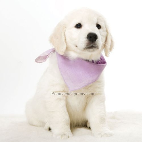 NEW -The Loveable Pet Bandana