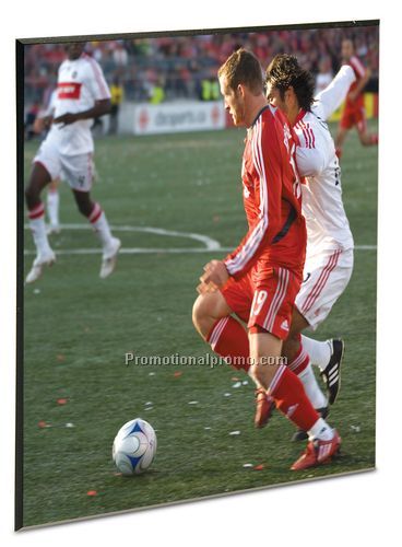 Plaque, Laminated Flush Masonite 5