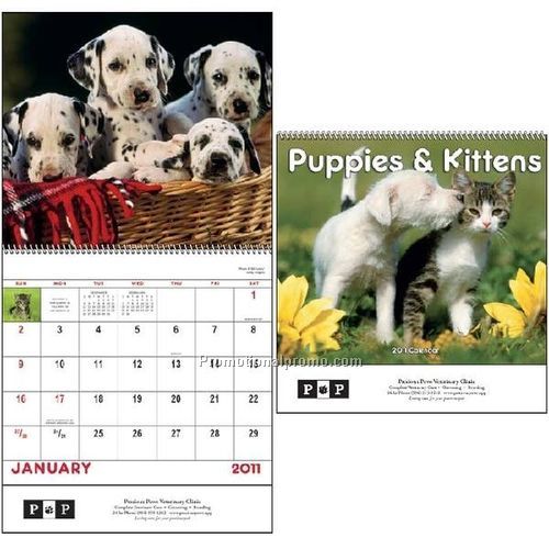 Puppies & Kittens - Spiral