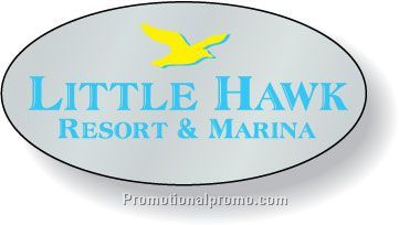 Stock Shape Dull Silver Foil Paper Roll Labels - Oval