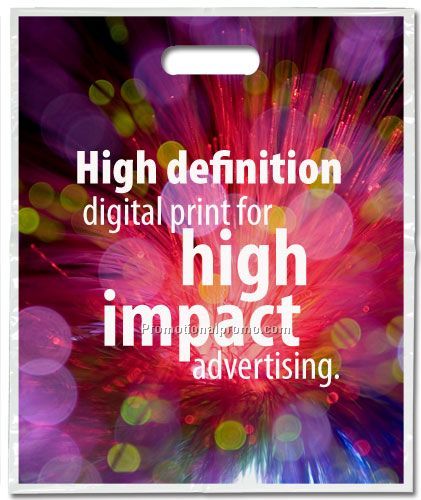 Take Home Bags with Gusset 1537920x 1837920+ 437948/B>