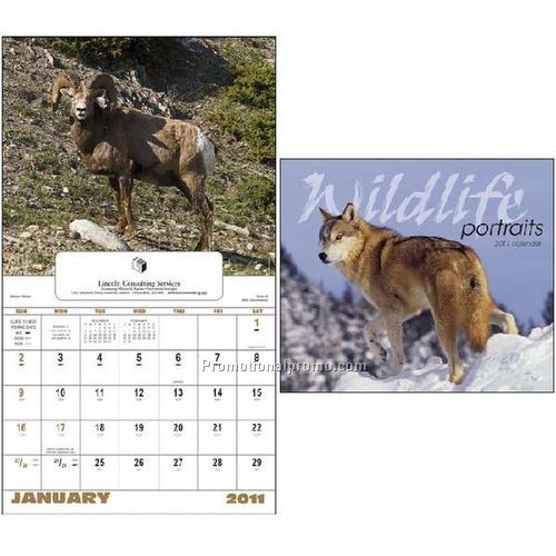 Wildlife Portraits - Window