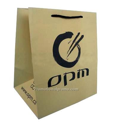 Paper shopping Bag
