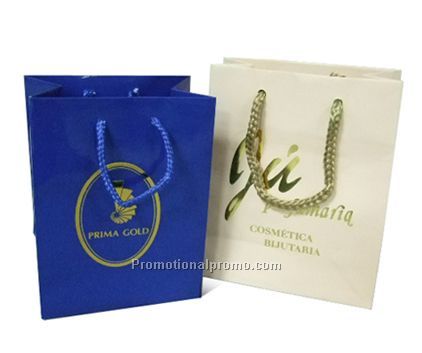 Custom logo printed paper shopping Bag