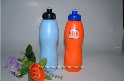 Plastic water bottle