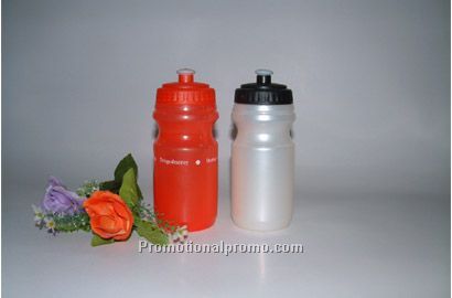 Plastic water bottle